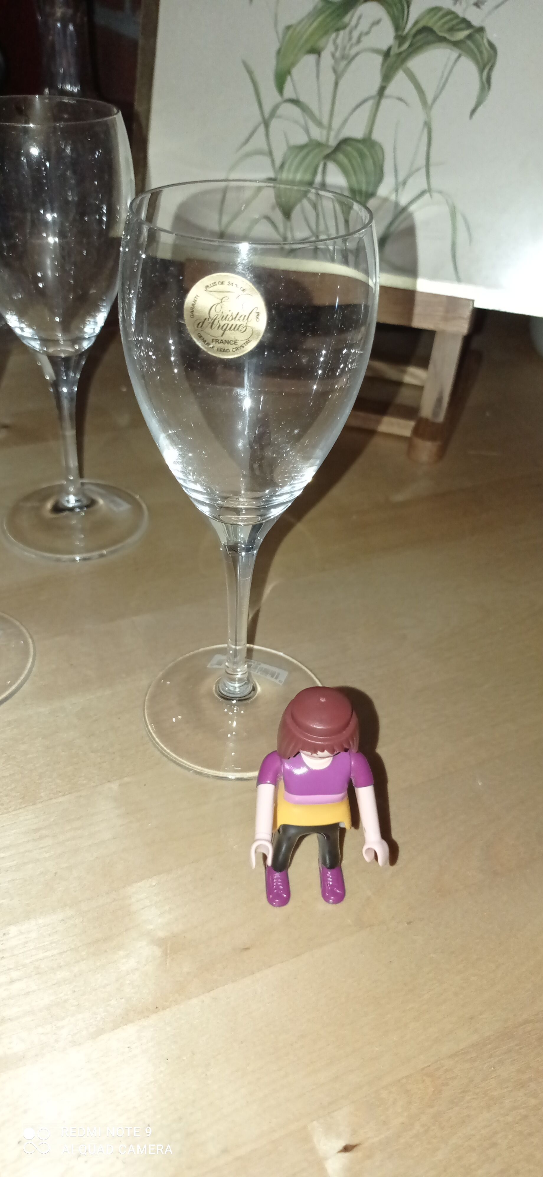 6 crystal wine glasses