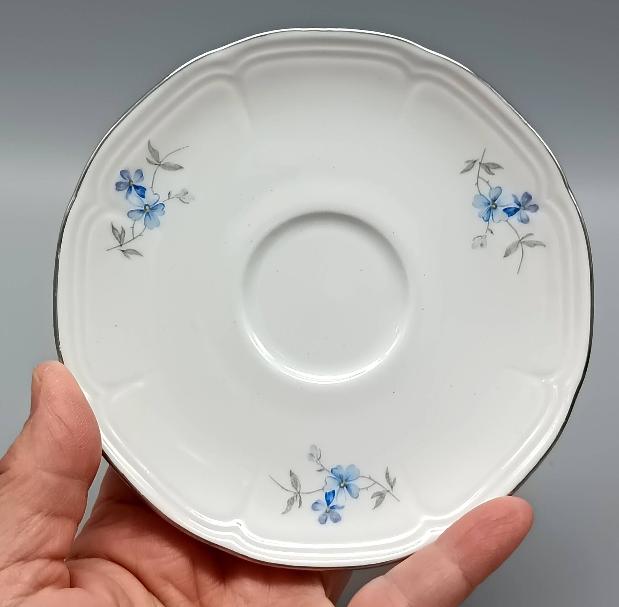 White porcelain coffee service Bareuther Waldassen Bavaria Germany
