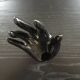 Black soliflore