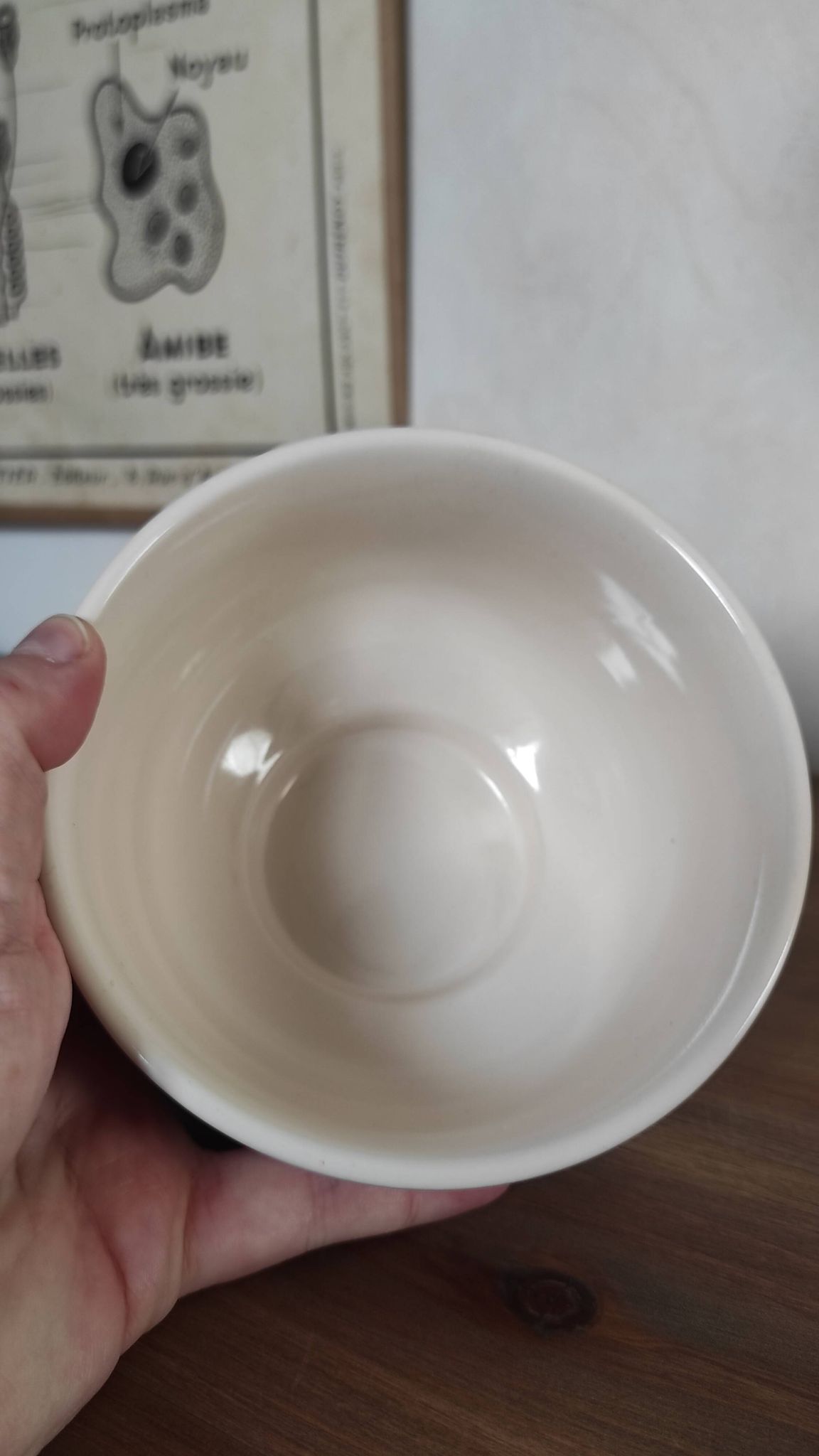 Vintage bowl with red flowers