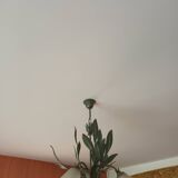 Chandelier 3 tulips