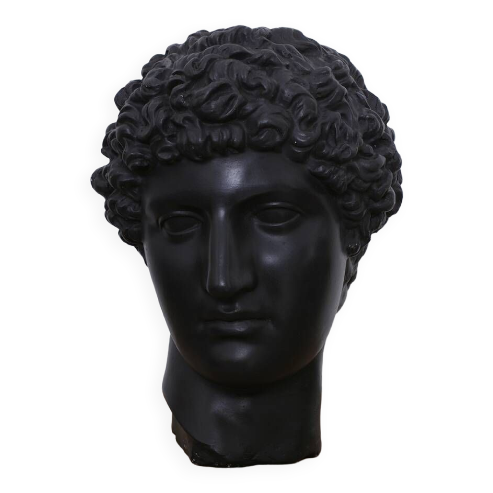 Greek head in waxed black plaster