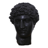 Greek head in waxed black plaster