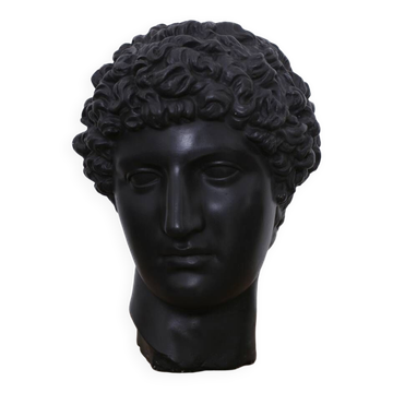 Greek head in waxed black plaster