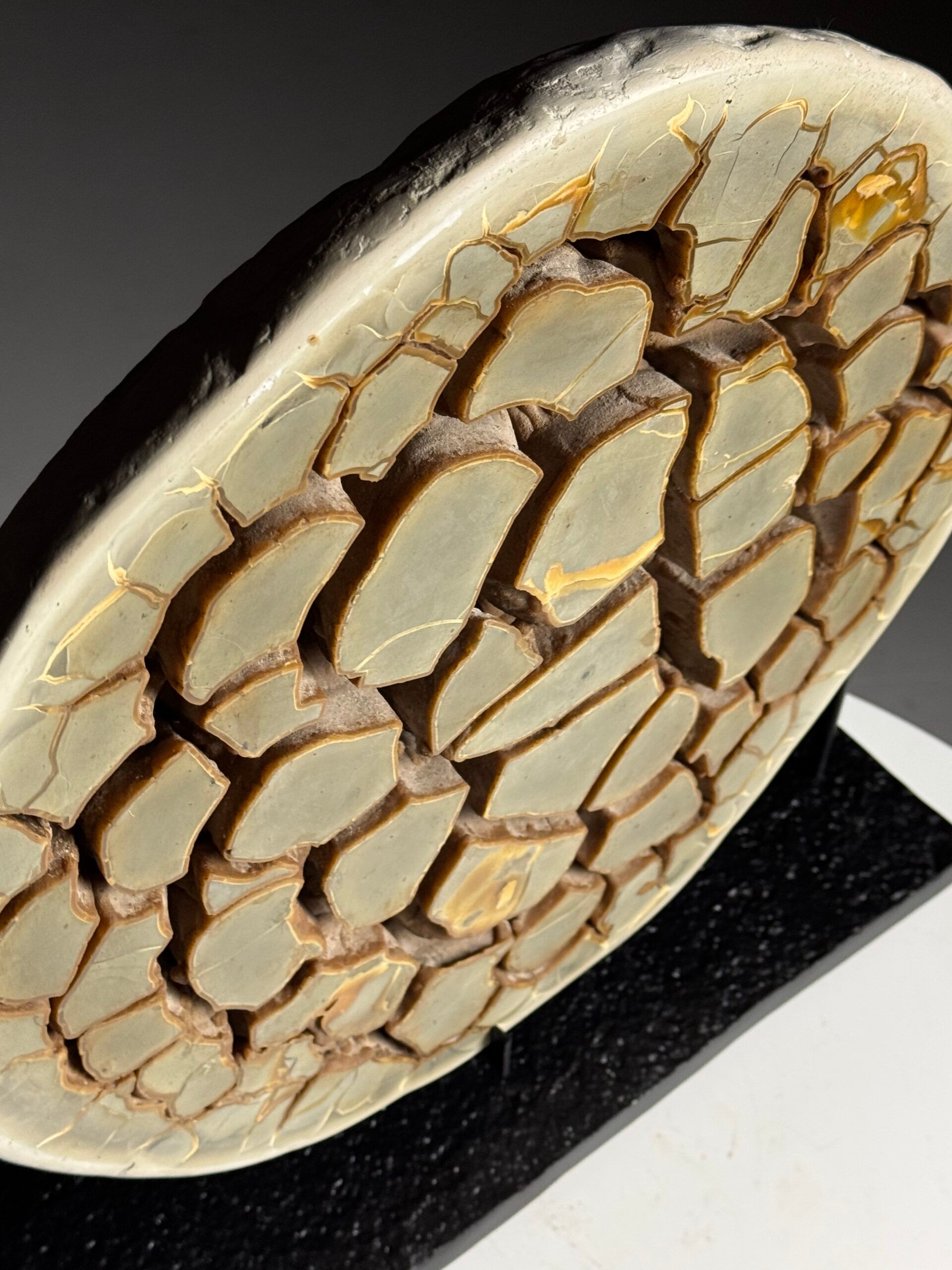 Septaria nodule on custom stand