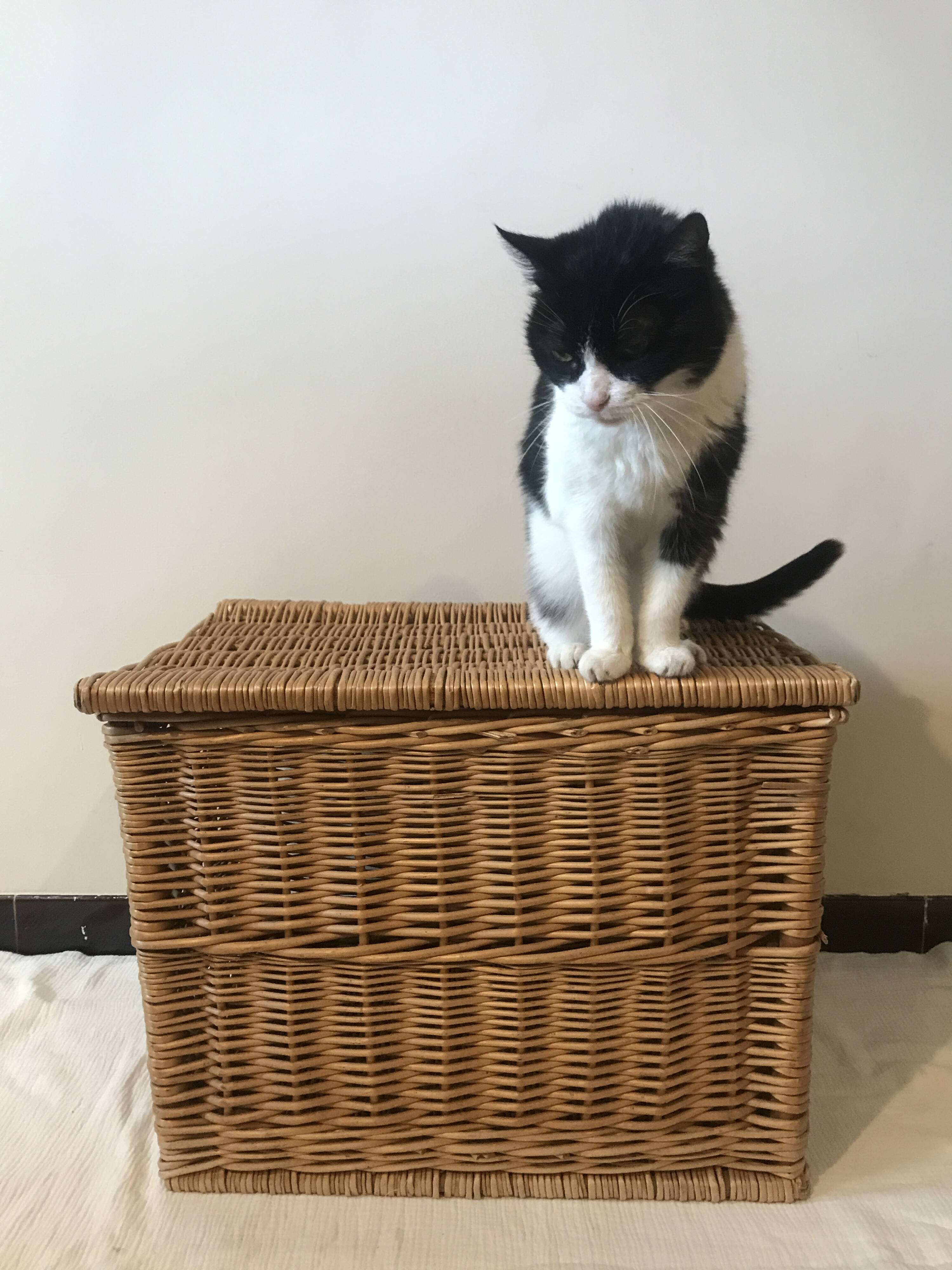 Wicker toy box