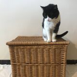 Wicker toy box