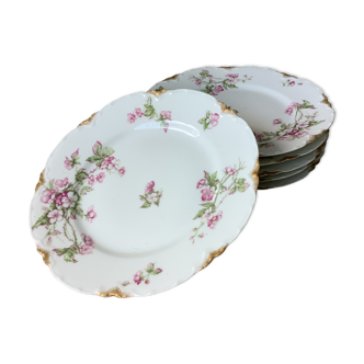 Assiettes Haviland Limoges 1900 décor floral liberty