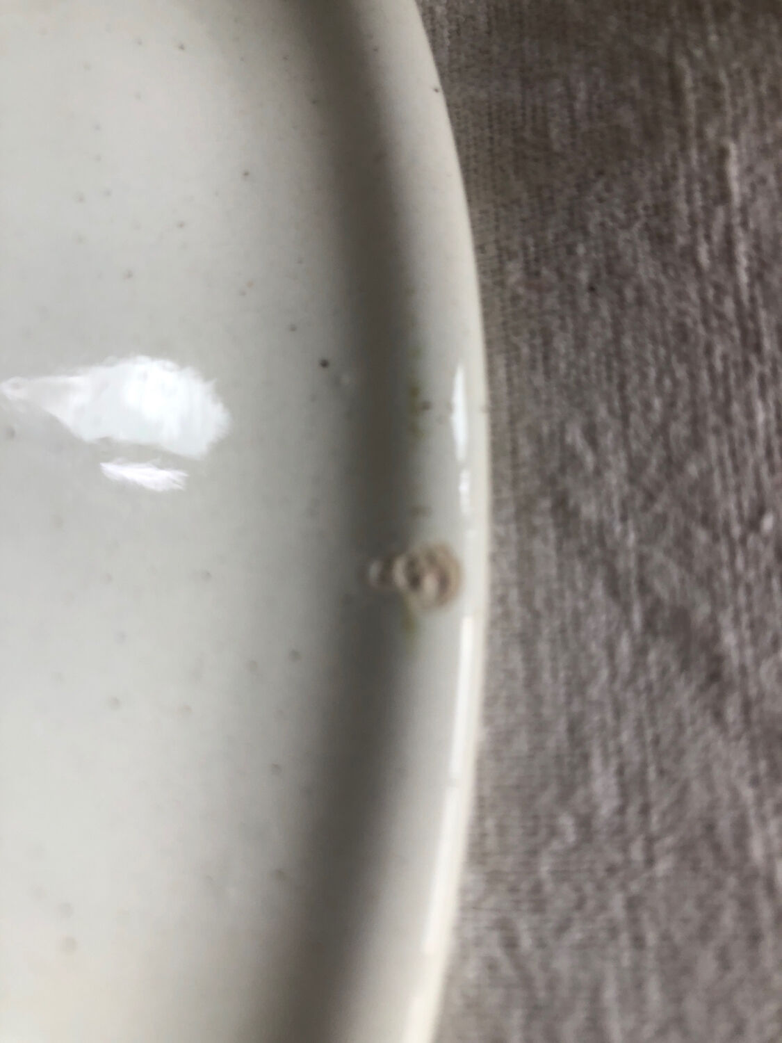 A pie dish and 6 dessert plates in Vintage made in Italy