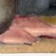 Nature morte à l'huile sur toile "le bouquet de roses" 1930, tableau ancien