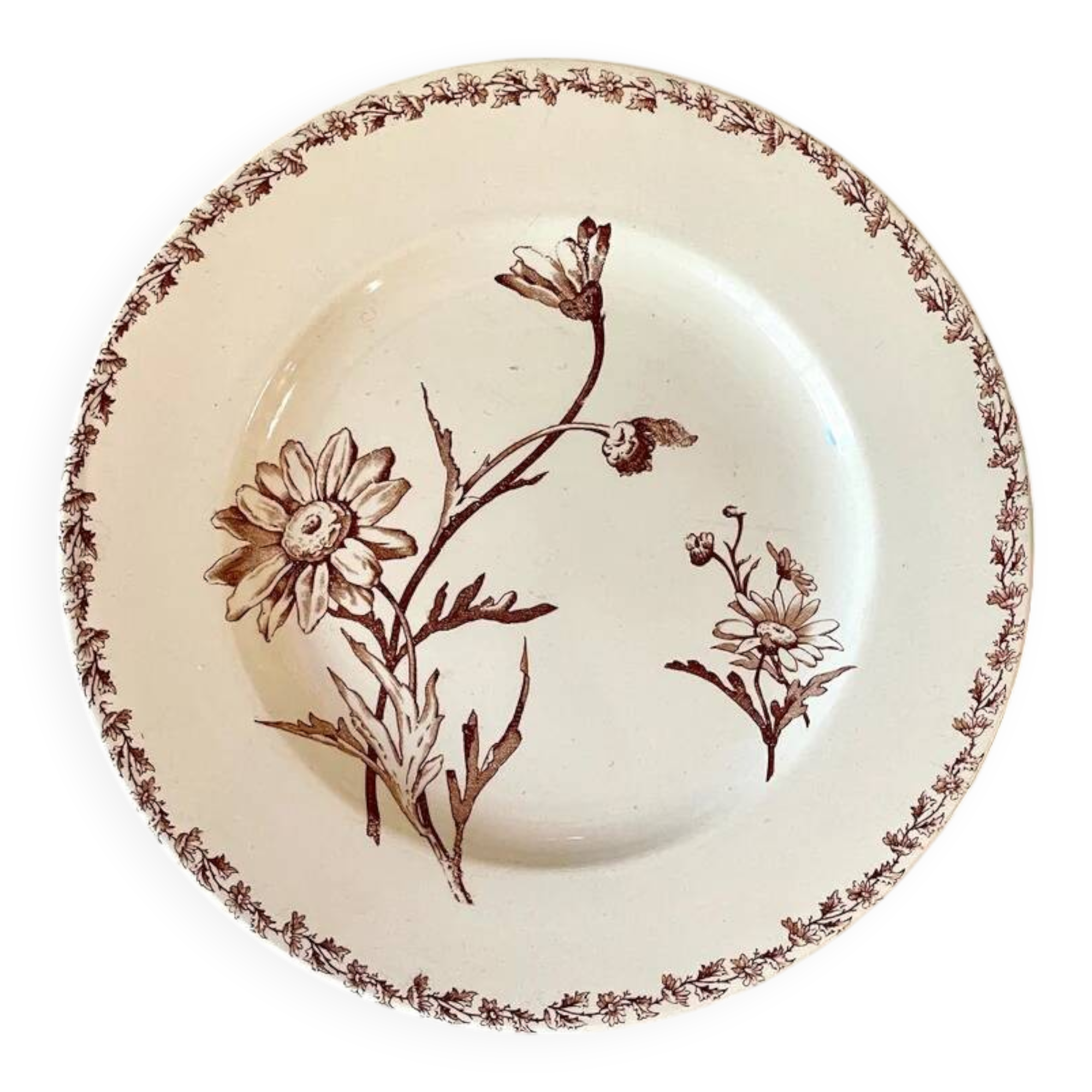 Lunéville earthenware dessert plate, Marguerite model.