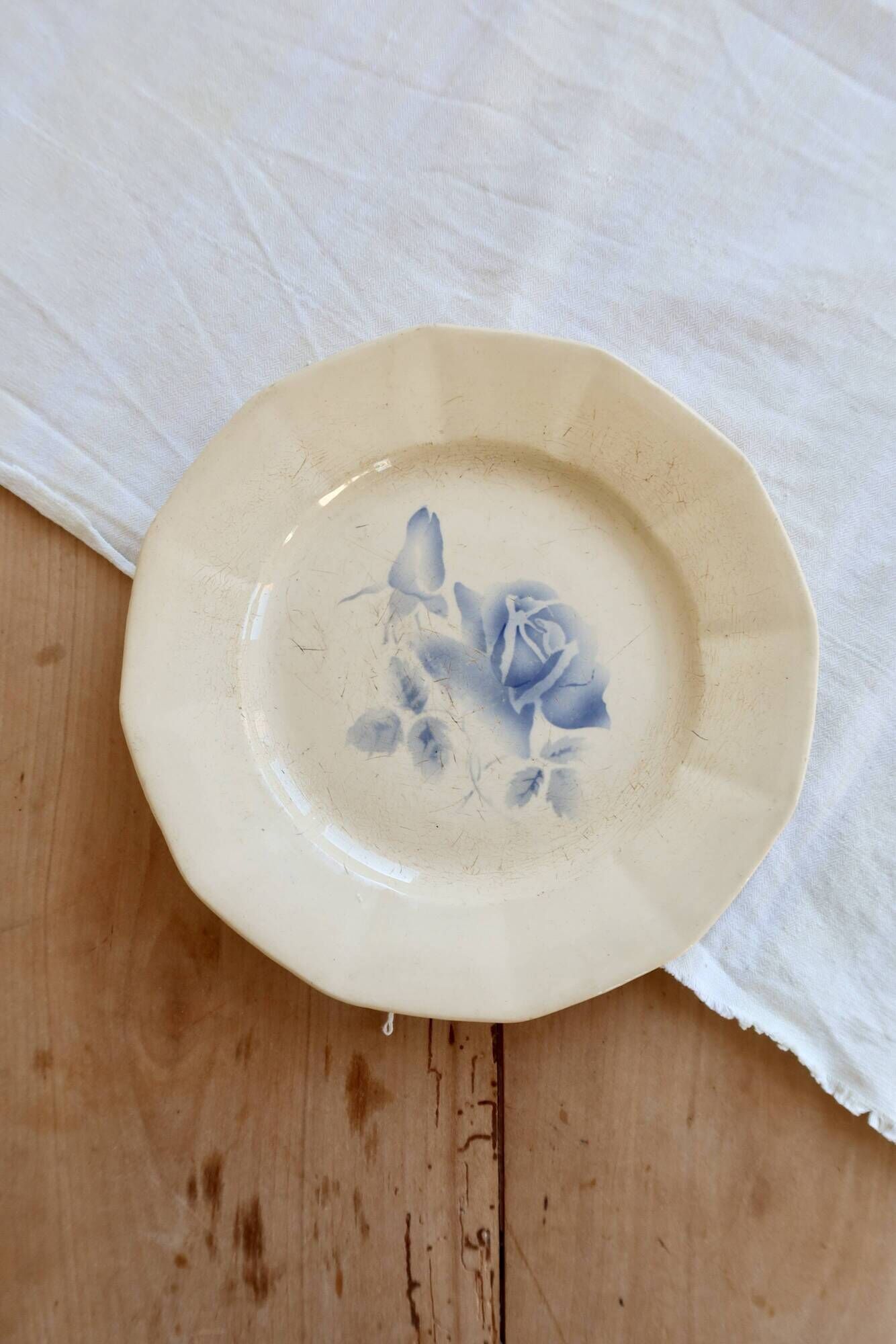 Antique flat plate, ironstone Digoin ivory - Blue rose decoration