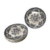 Set of 6 plates Villeroy and Boch Fasan