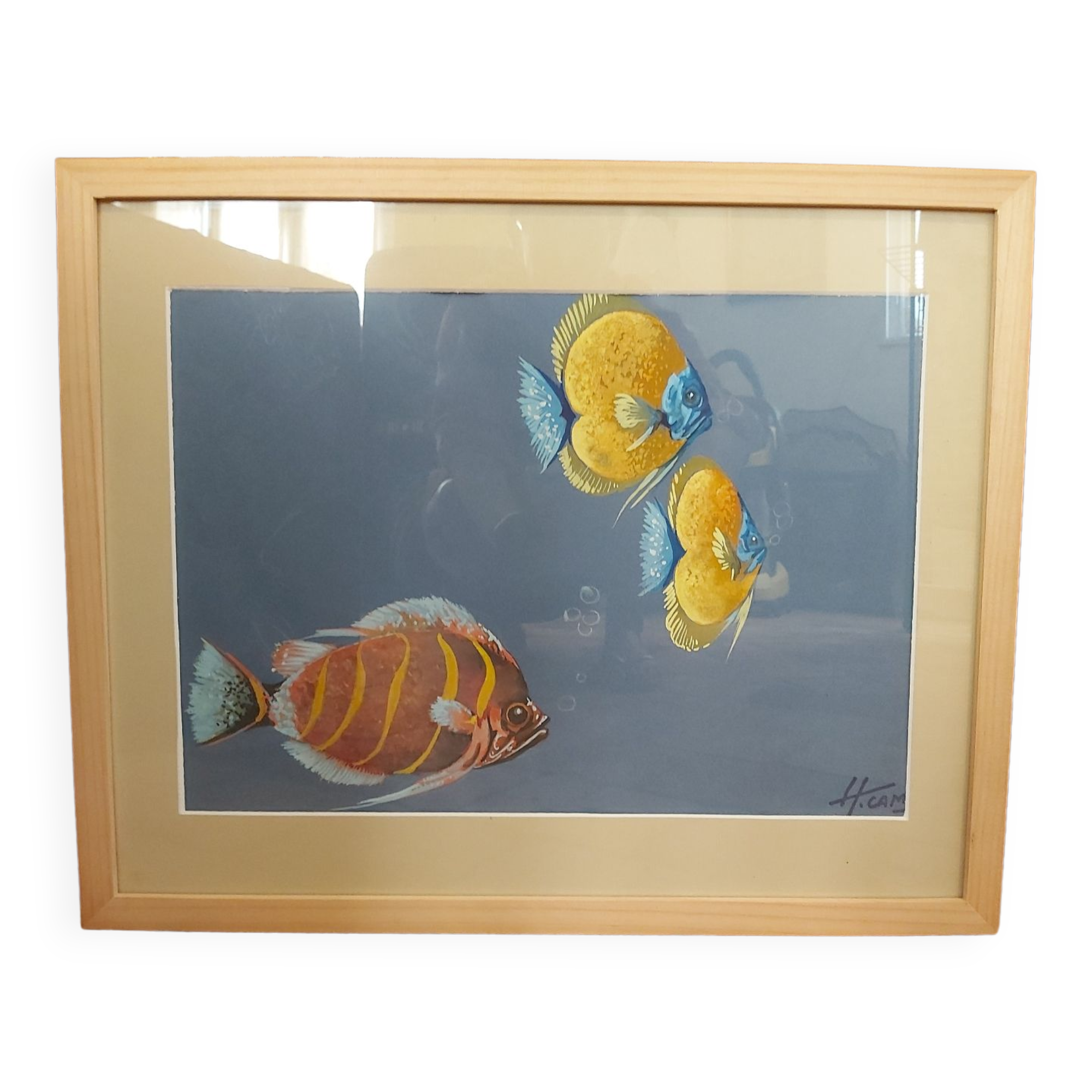 Watercolor Fish, H CAMOS
