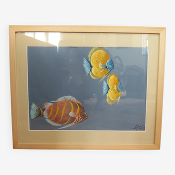 Aquarelle Poissons , H CAMOS