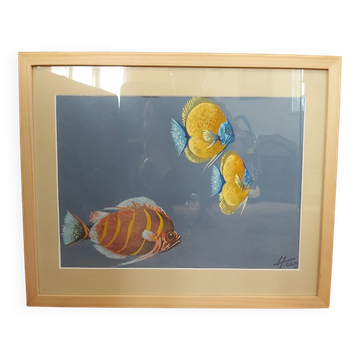 Watercolor Fish, H CAMOS