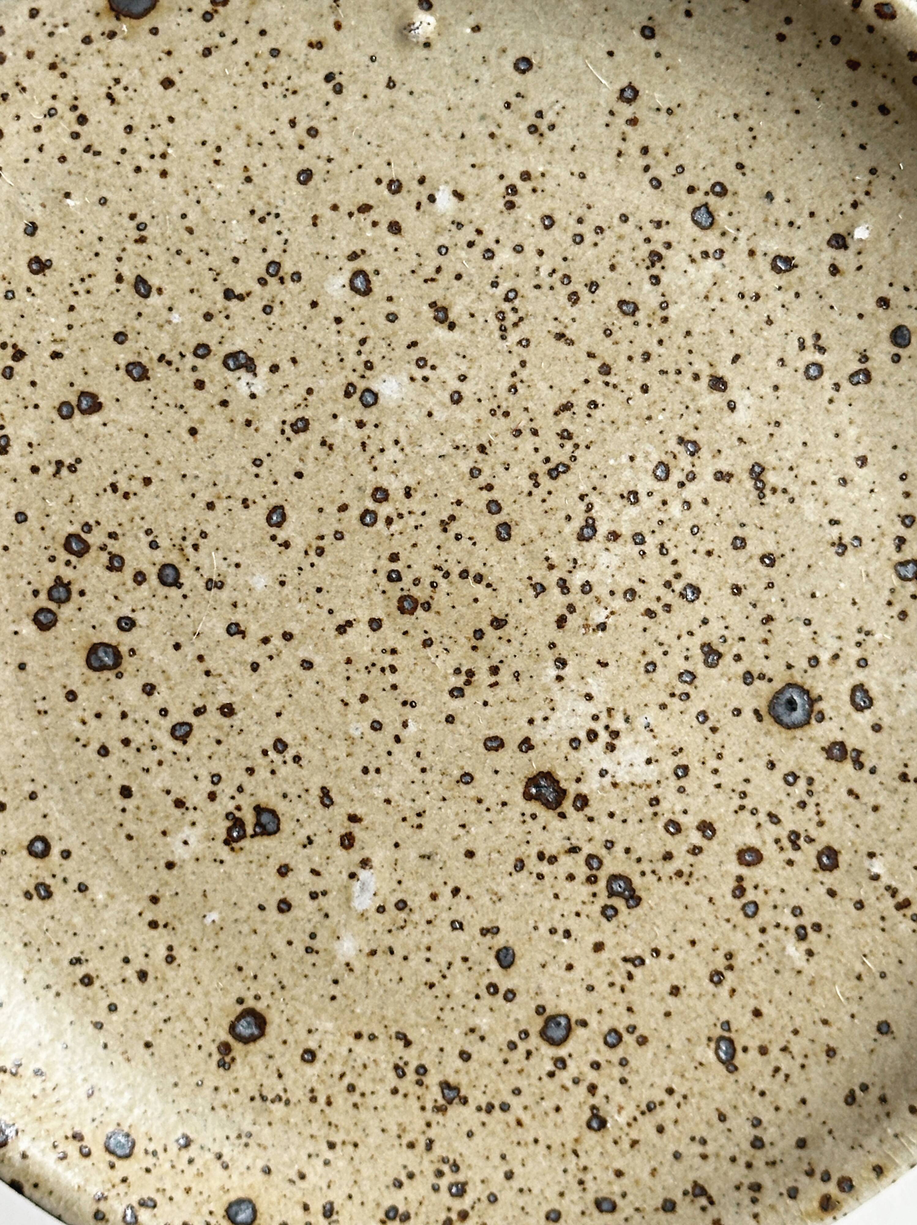 Set of 4 speckled stoneware plates