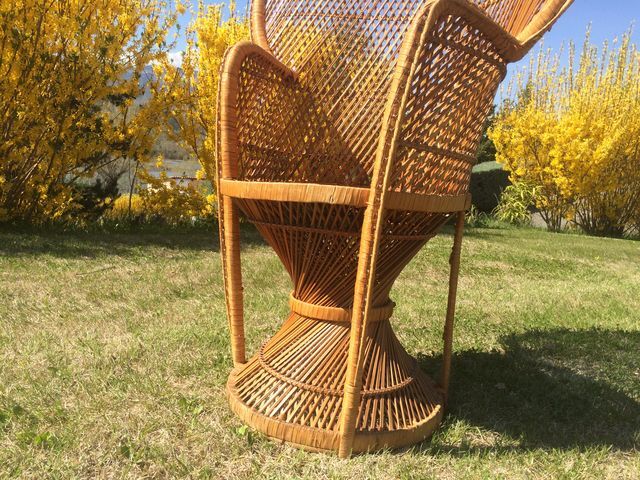 Emmanuelle wicker and rattan chair for adults 1970s