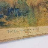 School Poster - The Royal Tigers