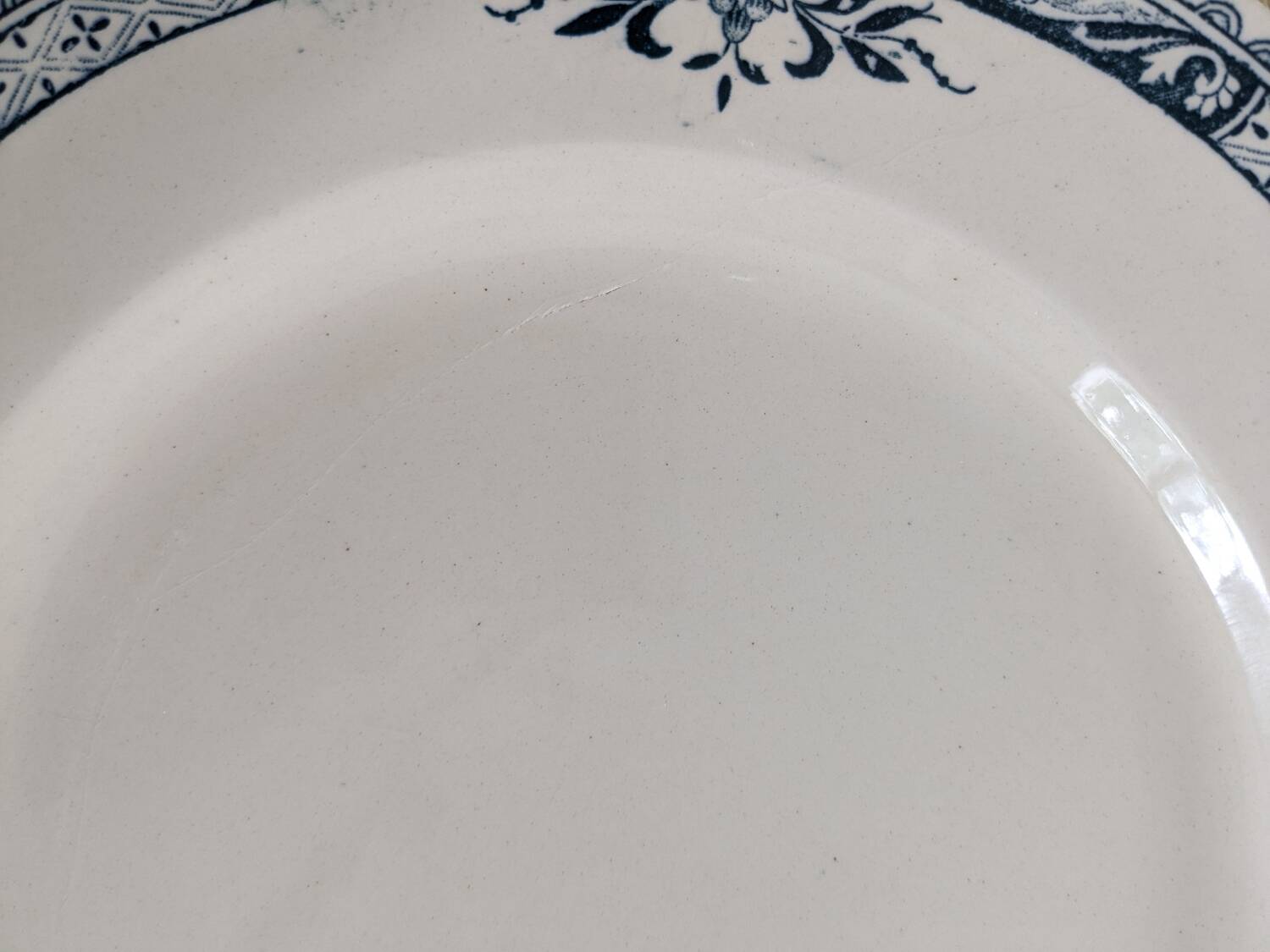 4 Lily Longchamp dinner plates