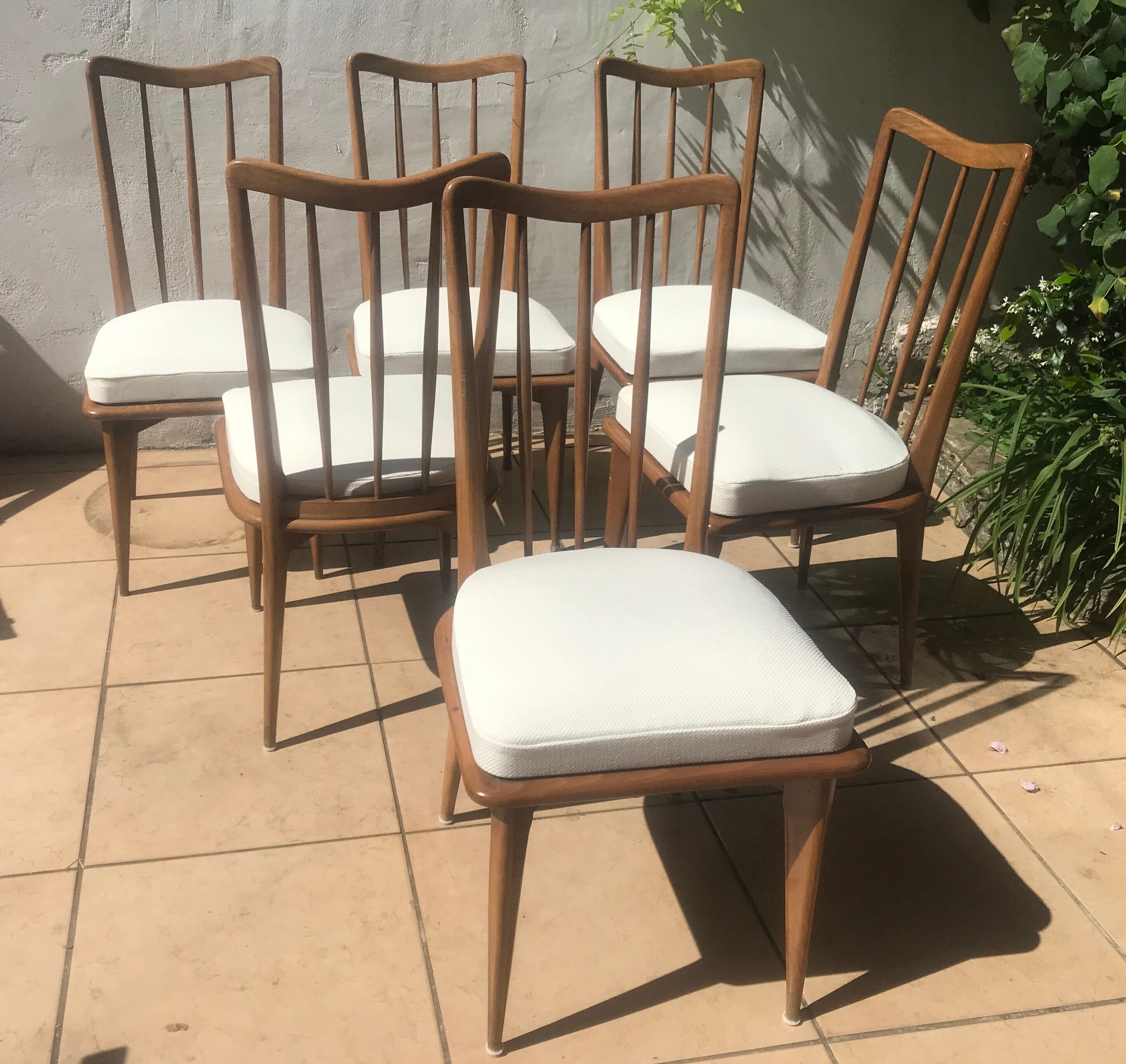 6 charles ramos chairs - 50s/60s