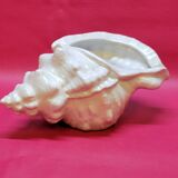 Empty cup vintage pocket shell shape conch conch shell iridescent white