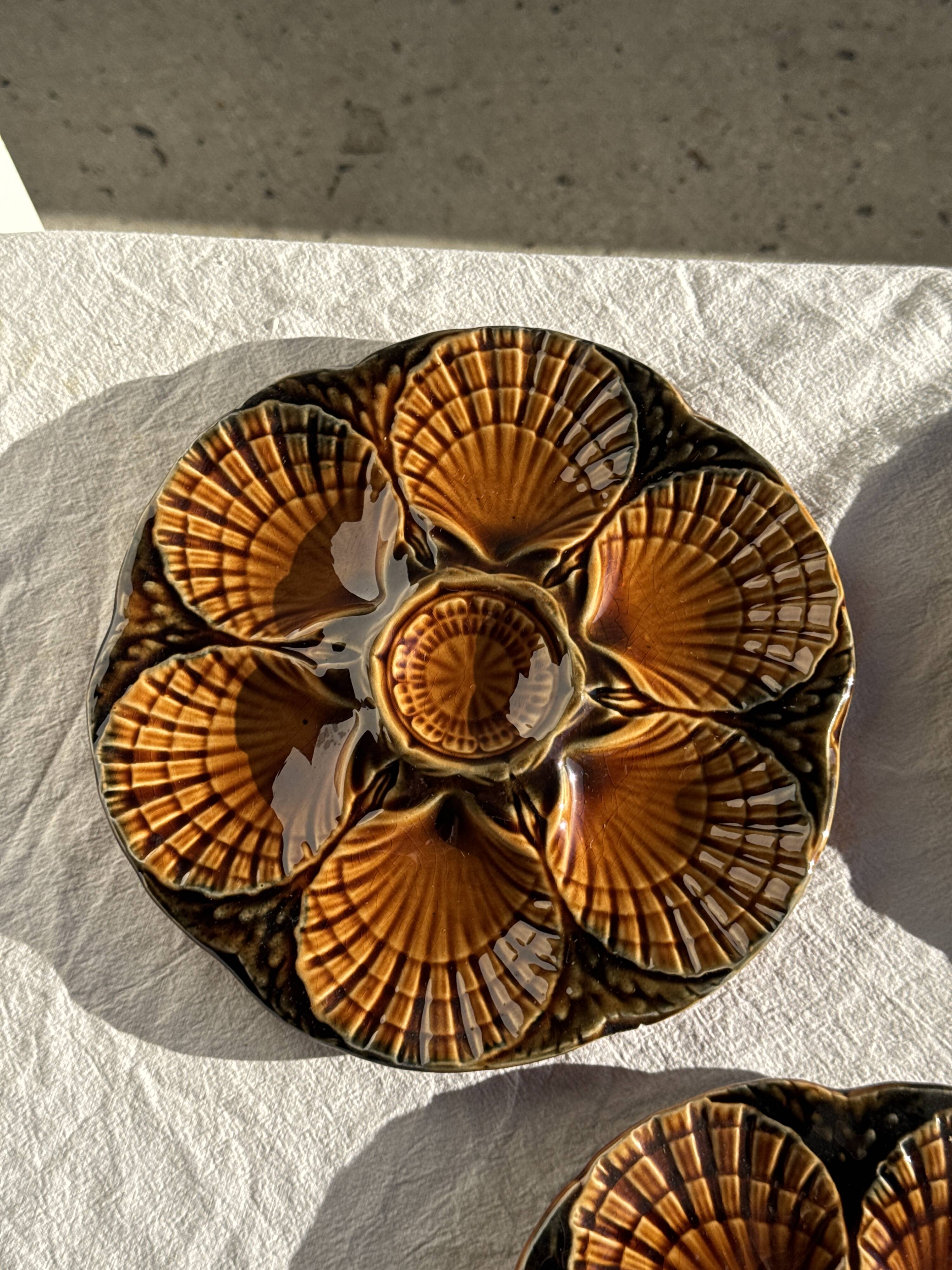 Set of 12 oyster or shell plates in glazed brown ceramic D