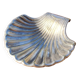 Vintage shell soap dish