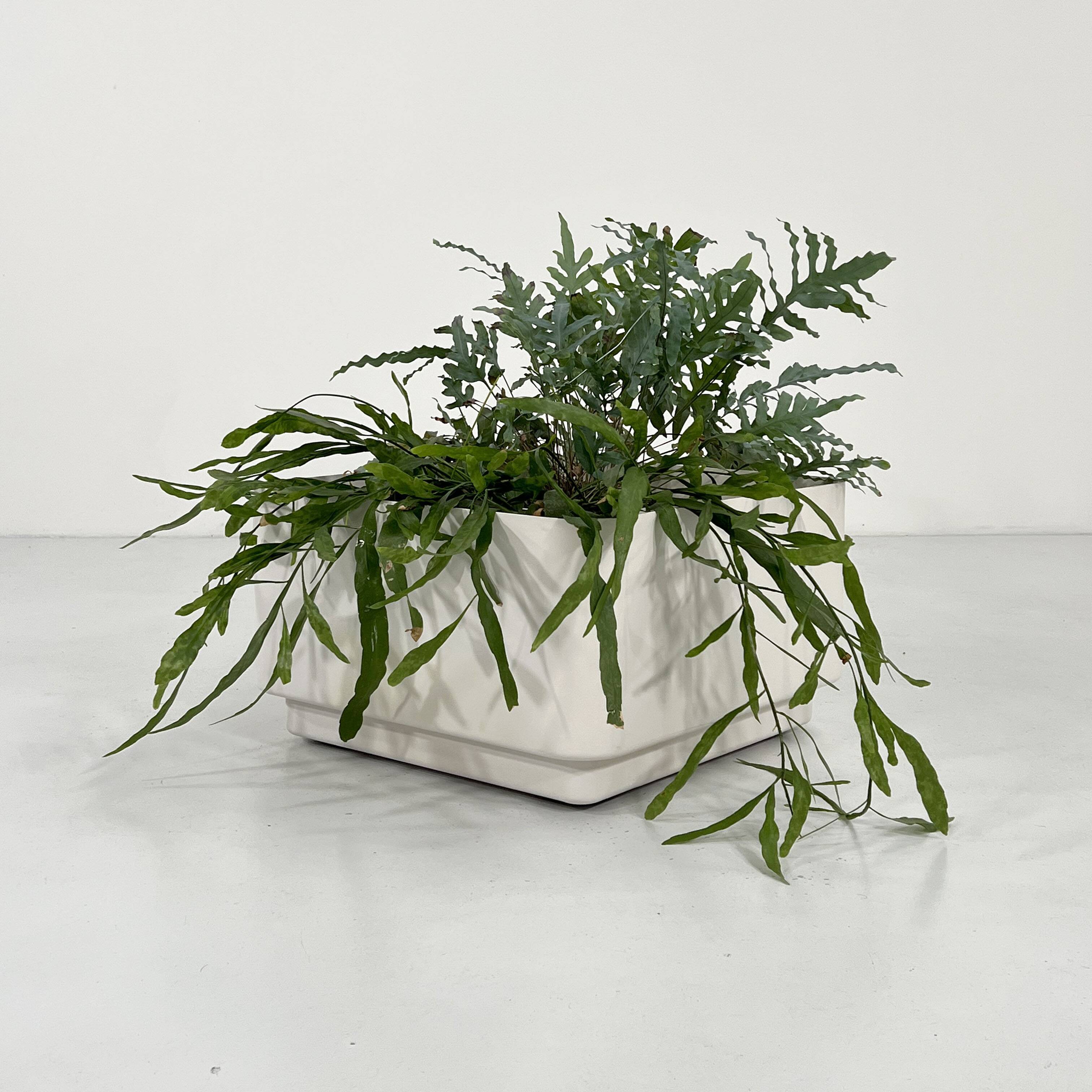 Large planter on casters model 4686 by Anna Castelli for Kartell, 1970