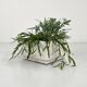 Large planter on casters model 4686 by Anna Castelli for Kartell, 1970
