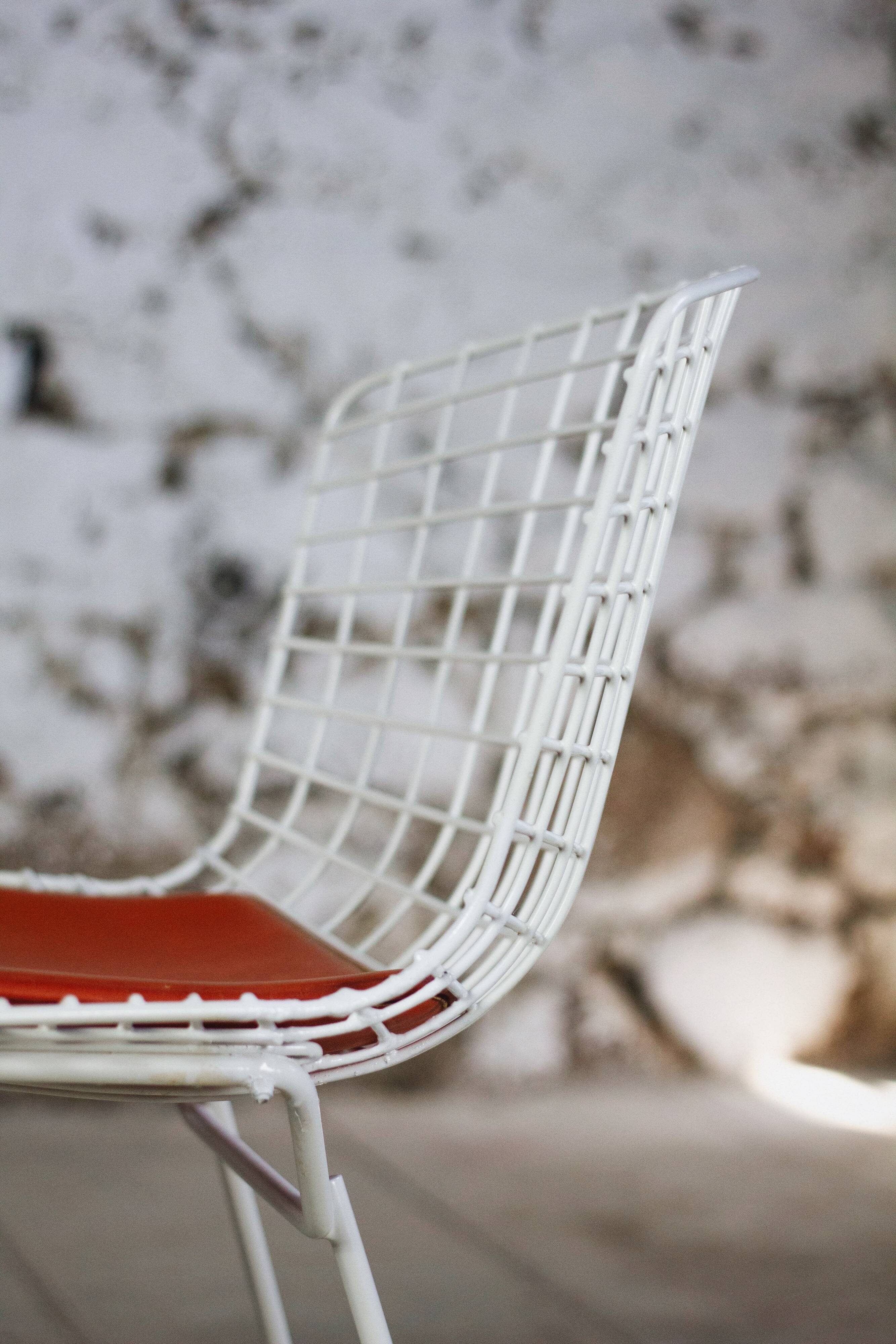 Wire Harry Bertoia chair white