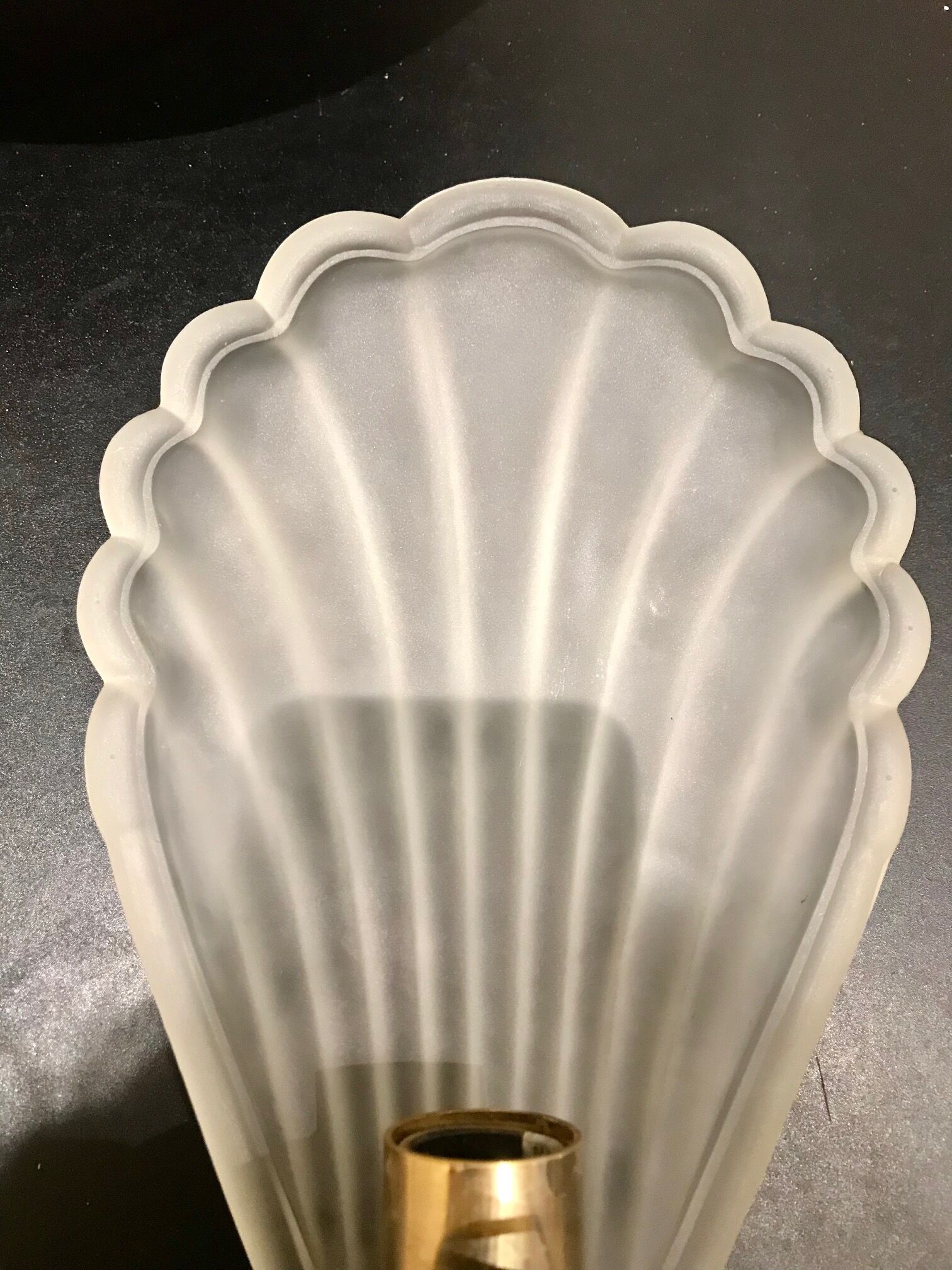 Glass shell wall lamp