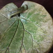Original leaf cup
