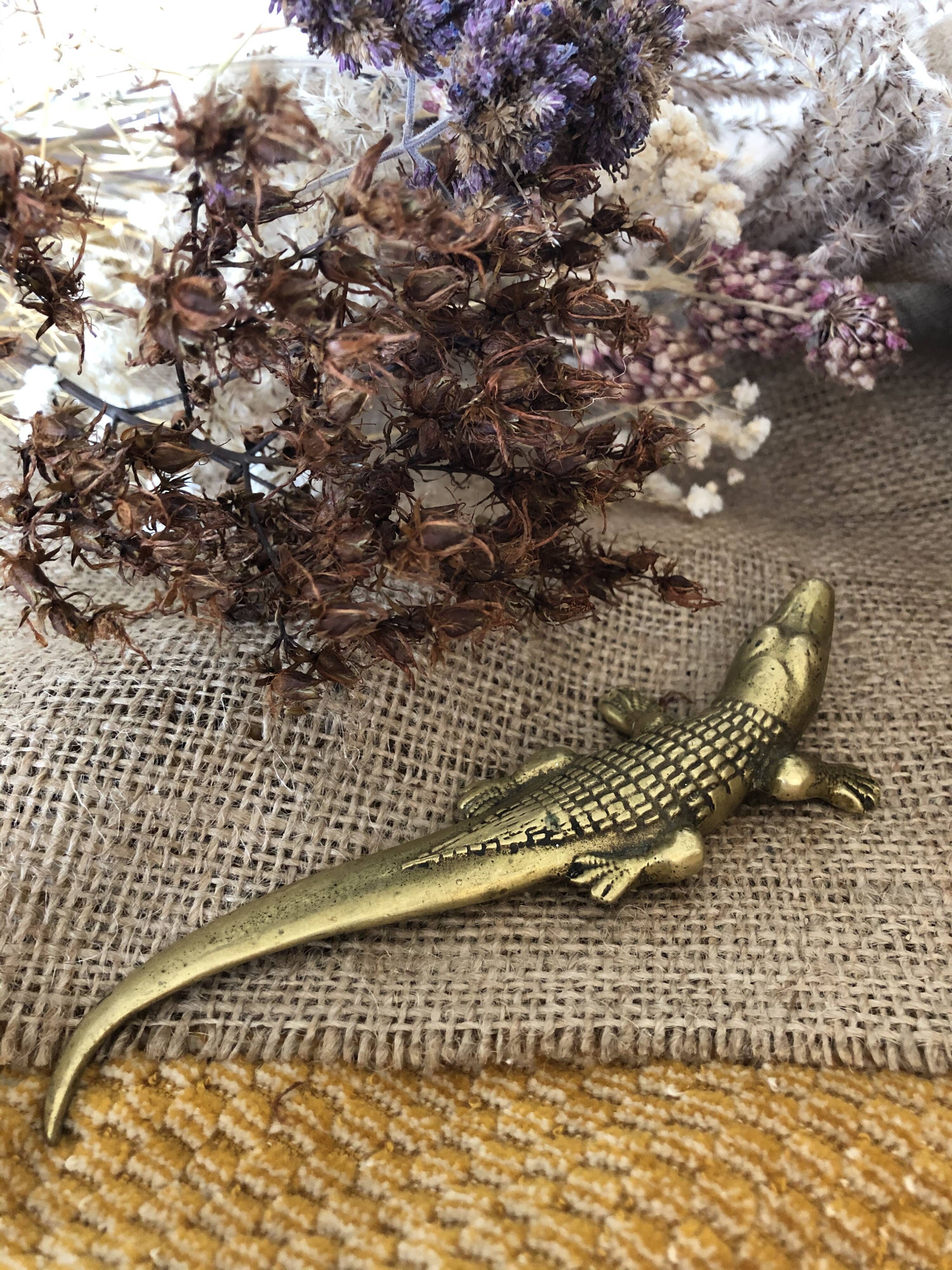 Brass Crocodile