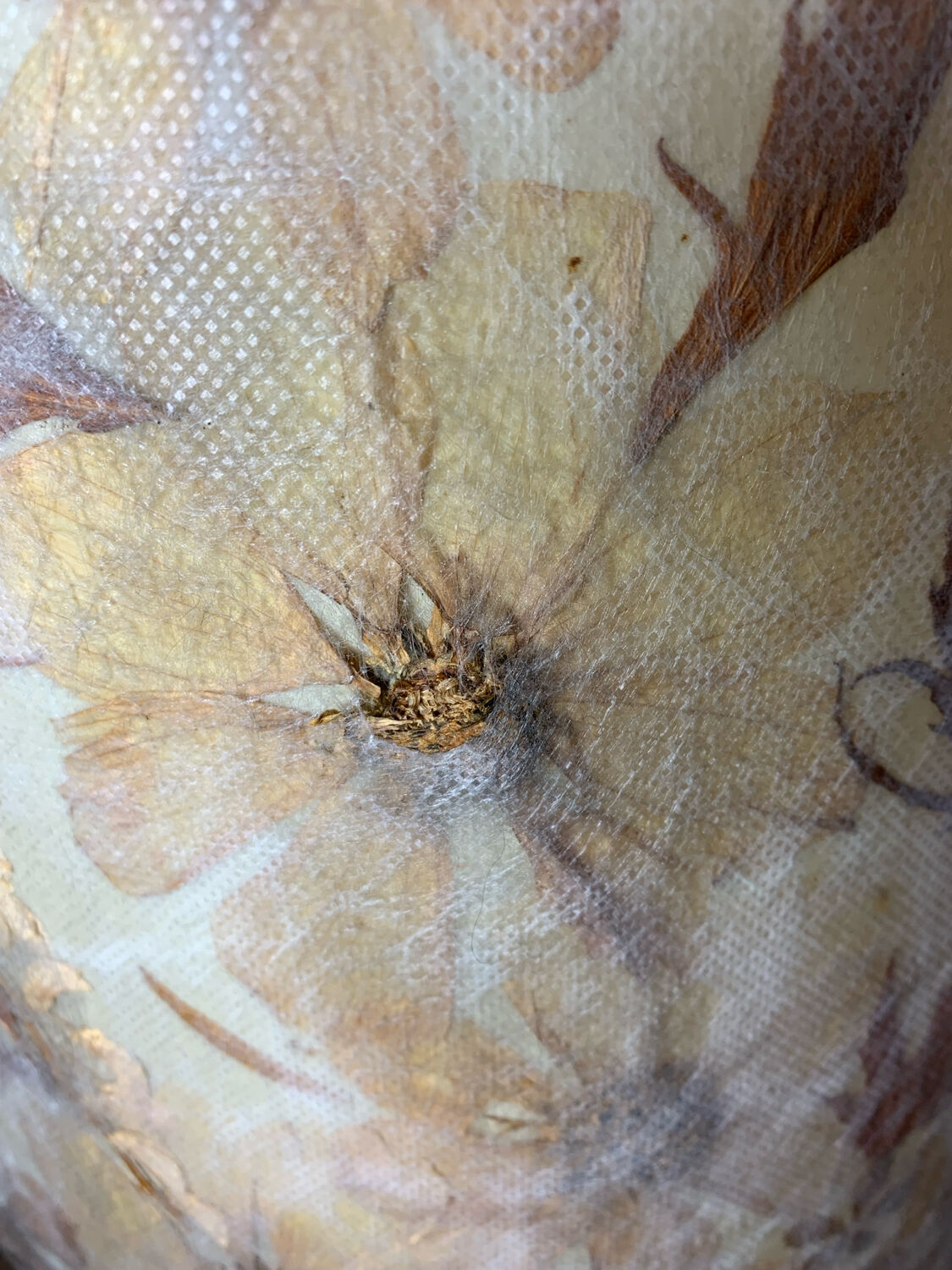 Lampadaire avec abat jour en fleurs séchées