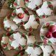 Antique barbotine service with Choisy le Roi apple decorations