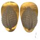 Fritz short brass and glass appliques in the shape of leaves Orrefors, 1960s