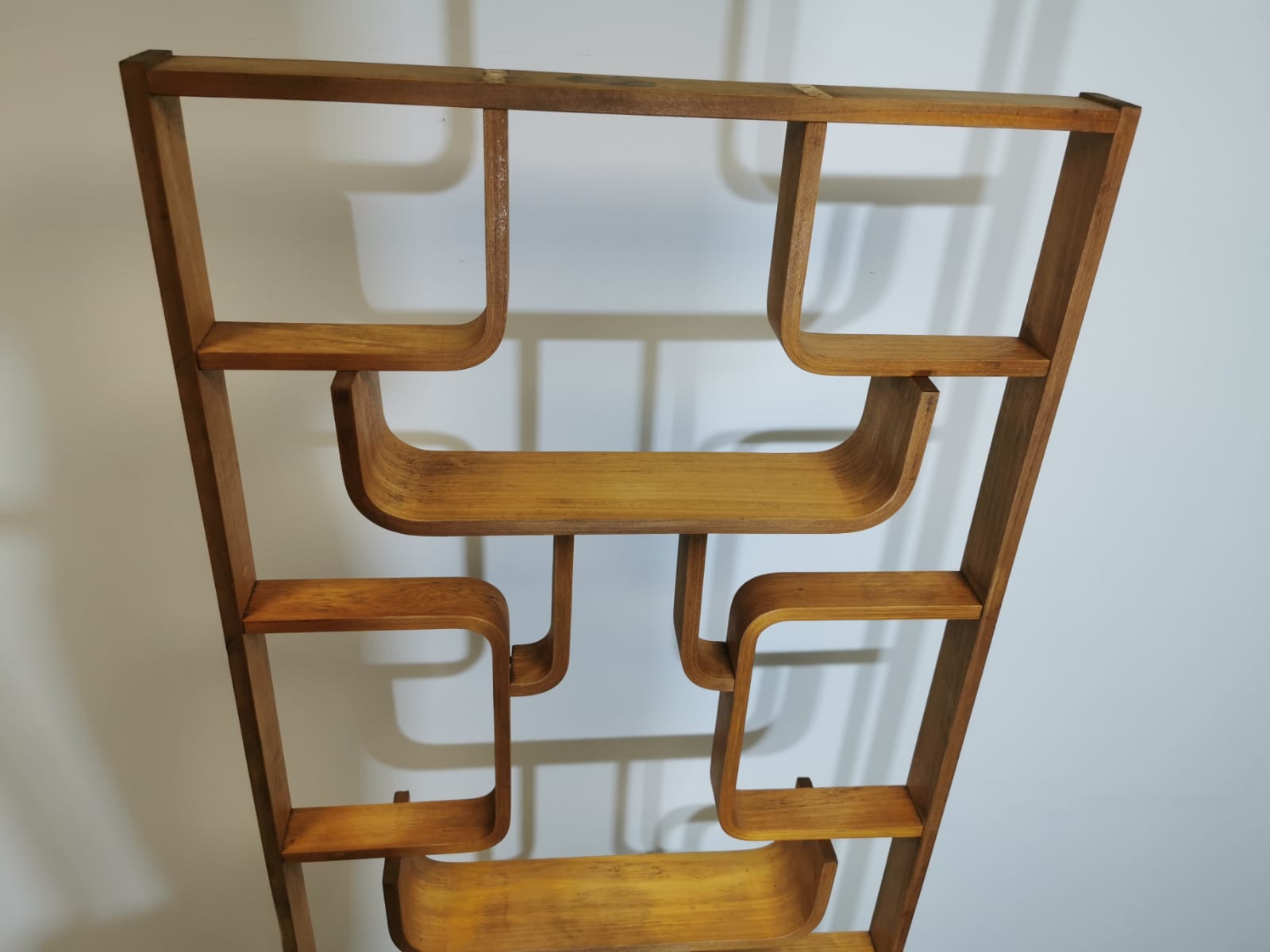 Room Divider by Ludvik Volak for Drevopodnik Holesov