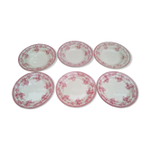 6 assiettes anciennes Terre de fer HB & Cie