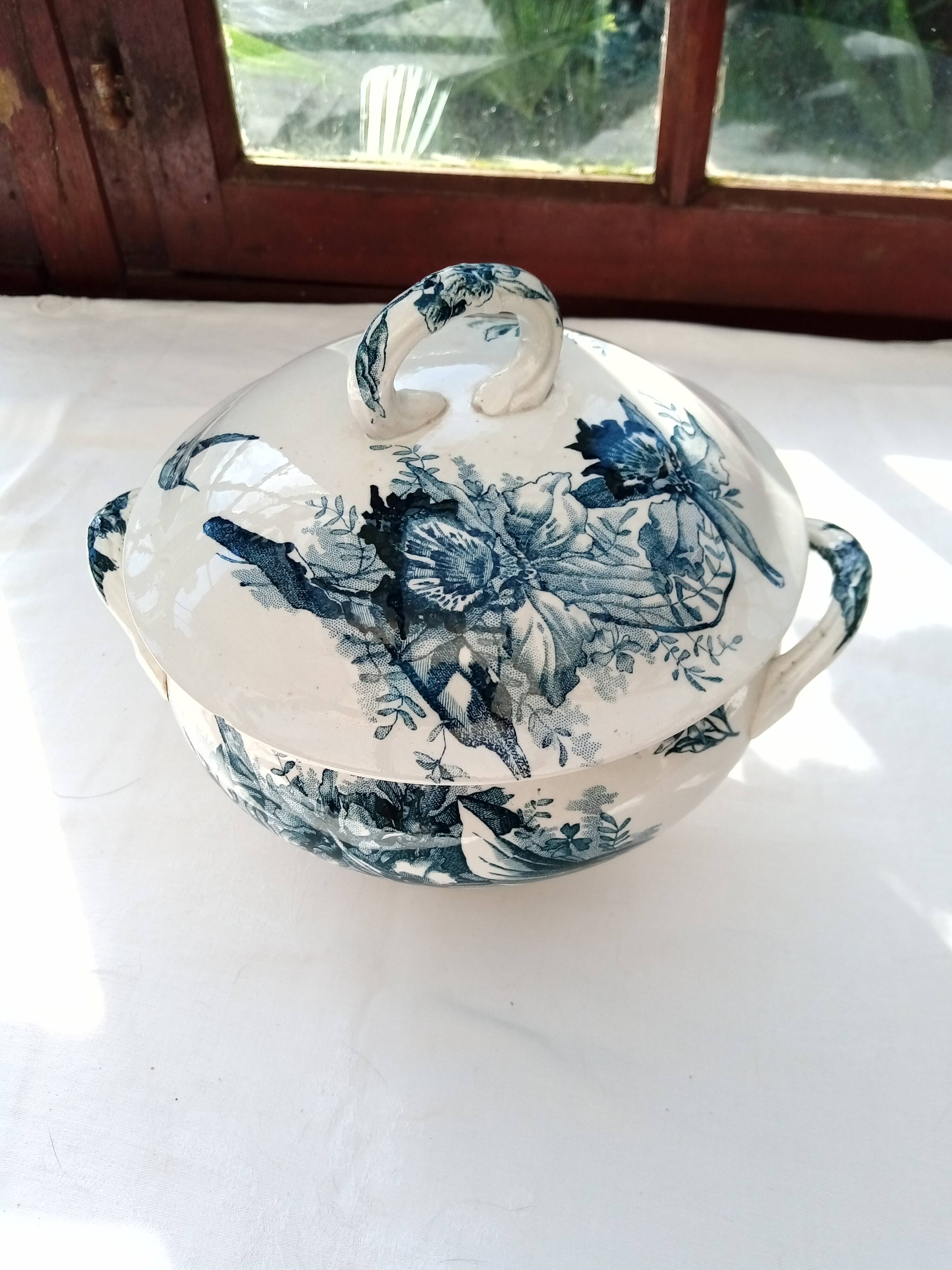 Tureen Iron Earth Orchids