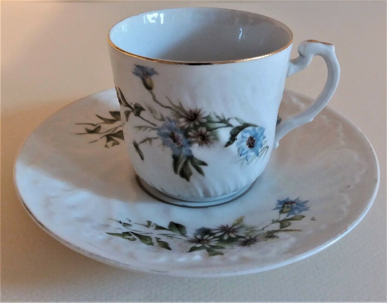 Porcelain cup and sub-cup decorated with daisies 1900