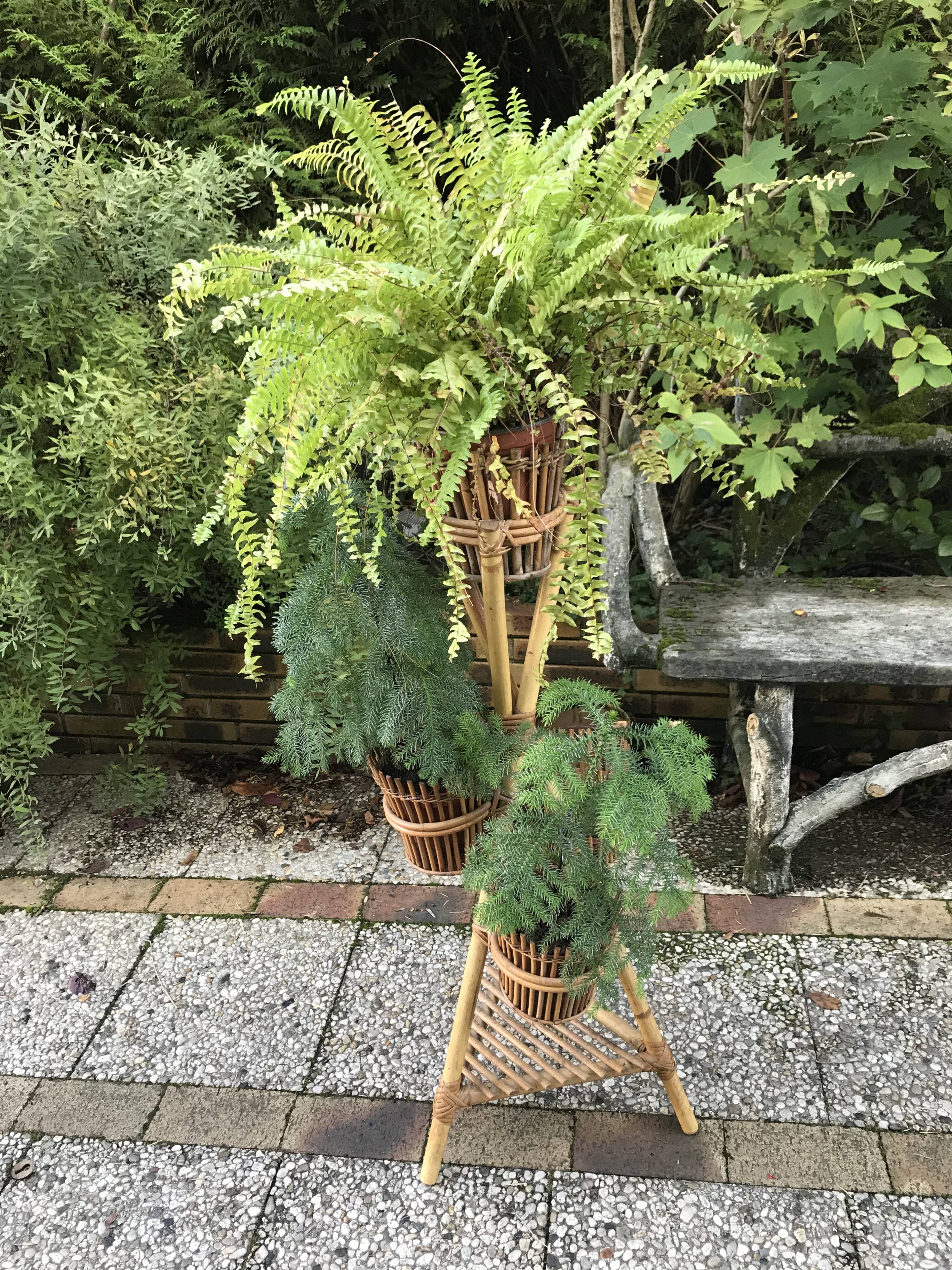 Rattan plant holder
