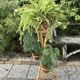 Rattan plant holder
