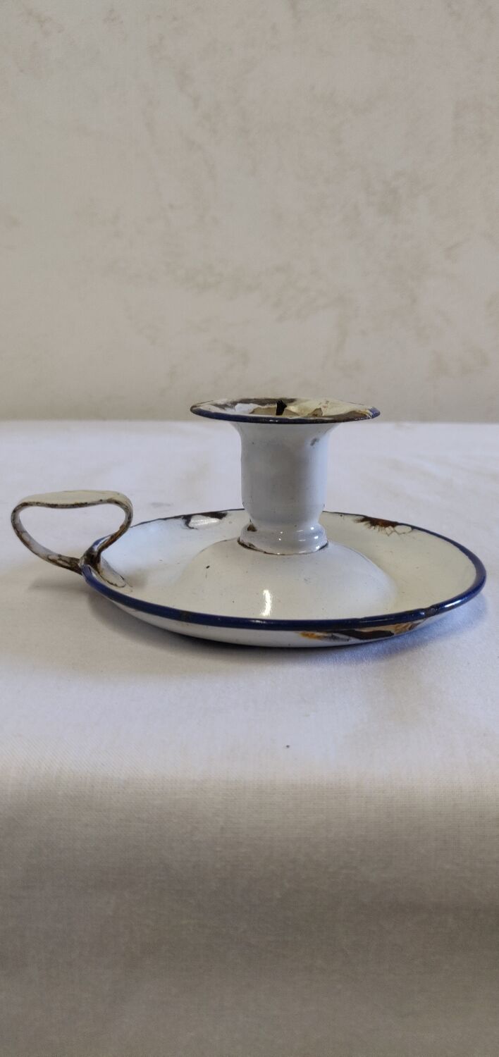 Cellar rat in old enamelled sheet metal