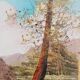 Tuscan landscape by R. Morelli, oil on canvas, late 20th century