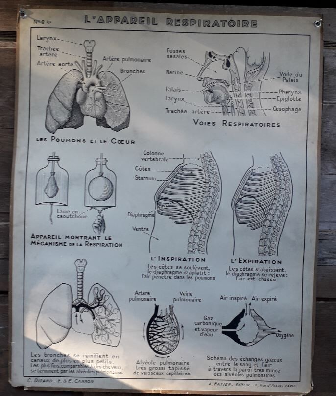 School poster science