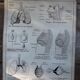 School poster science