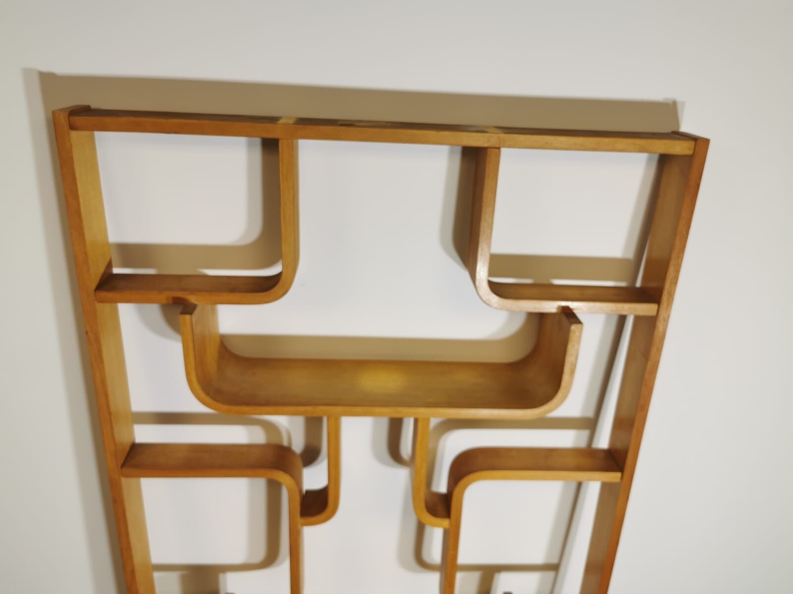Room Divider by Ludvik Volak for Drevopodnik Holesov