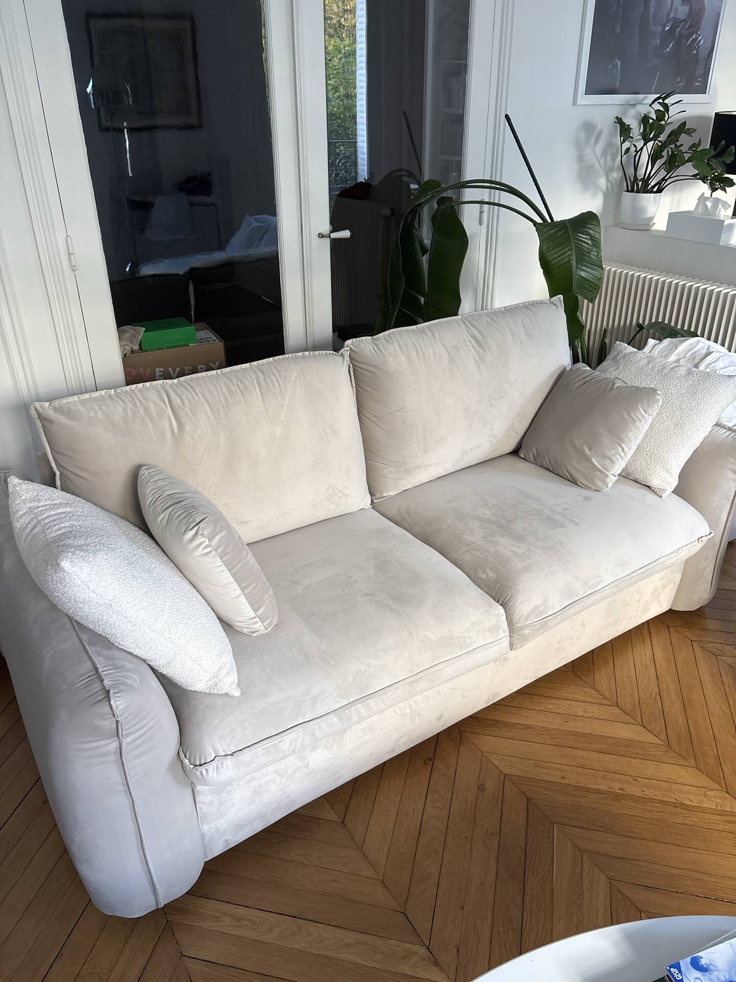 Beige velvet convertible sofa bed sia coco