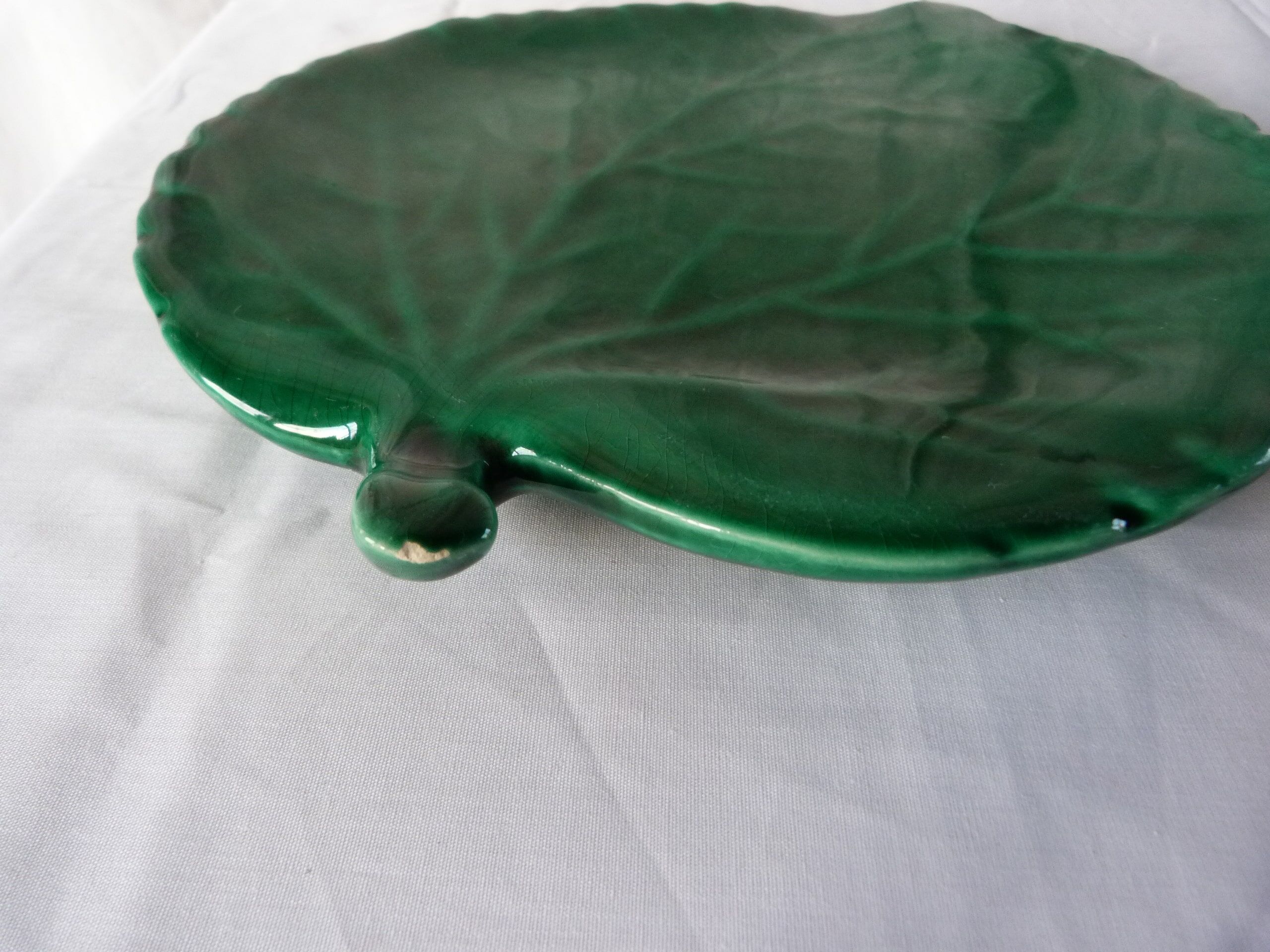 Dabbling under the dish